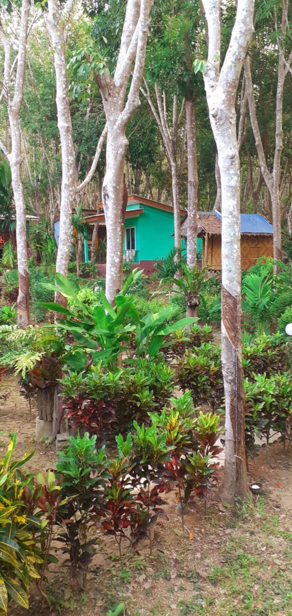 Lanta Maikeaw Ko Lanta